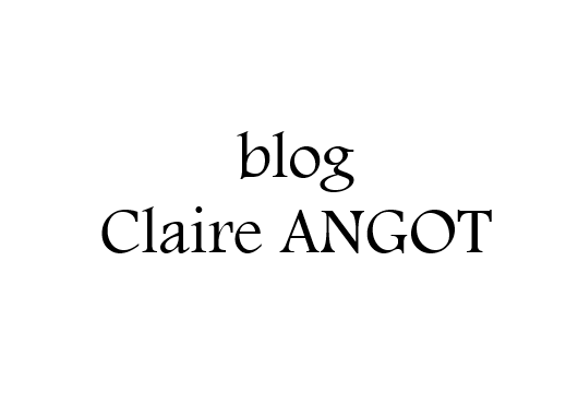 blog-claire-angot
